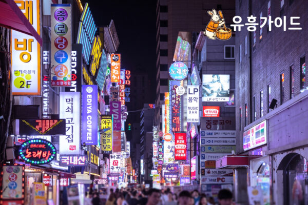강남유흥 밀집 지역의 야간 안전 인프라: 보행자 동선 데이터와 공공 조명의 진화